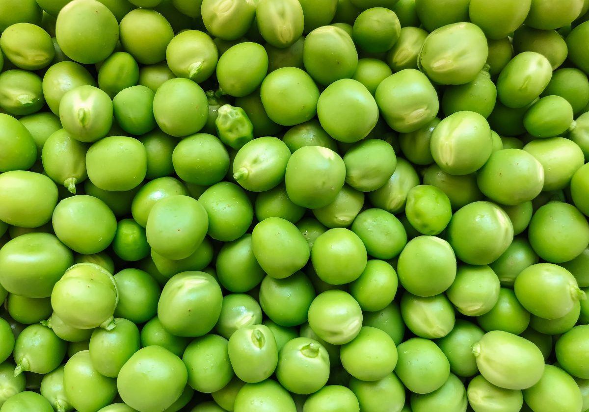 Pea