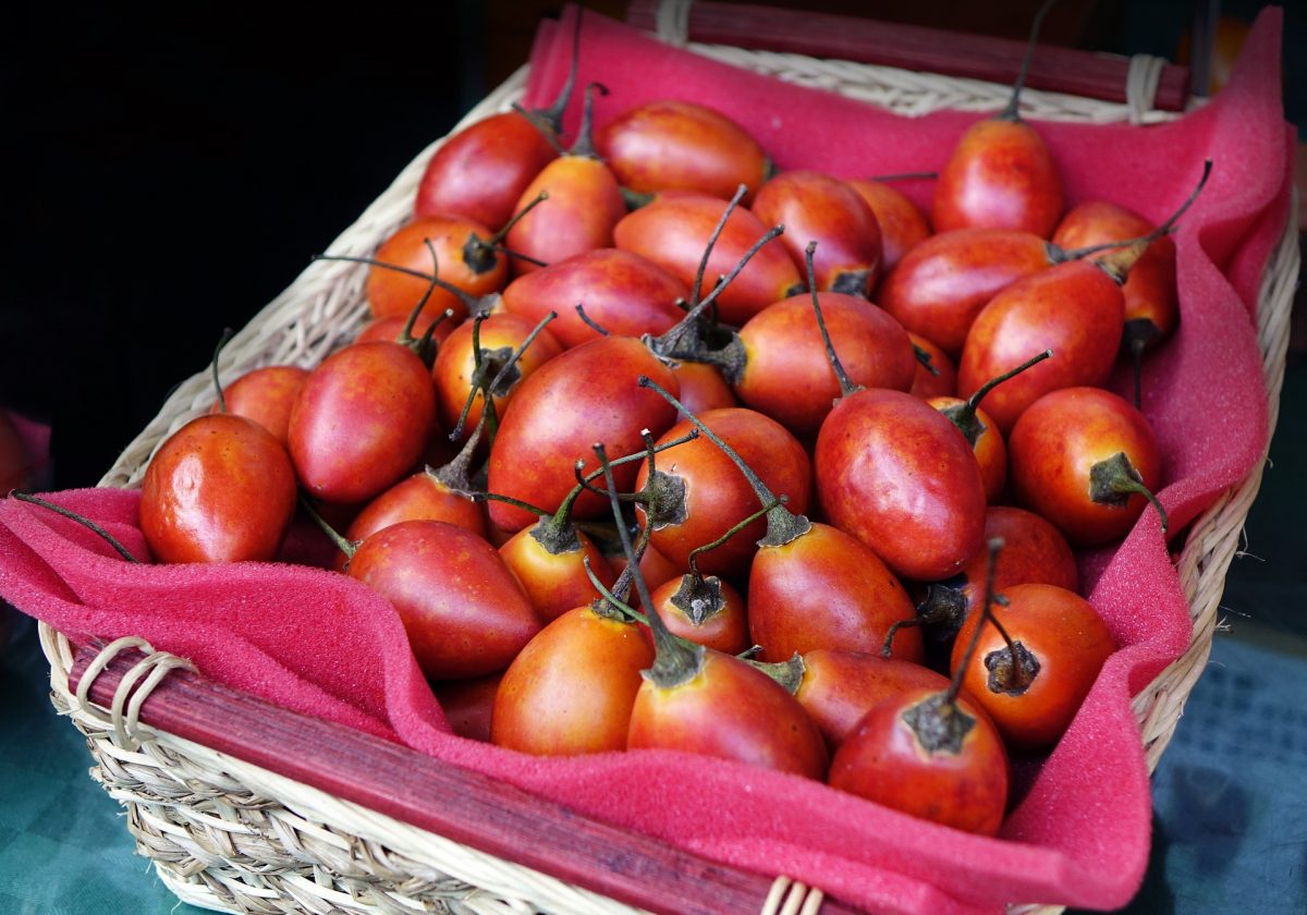 Tamarillo